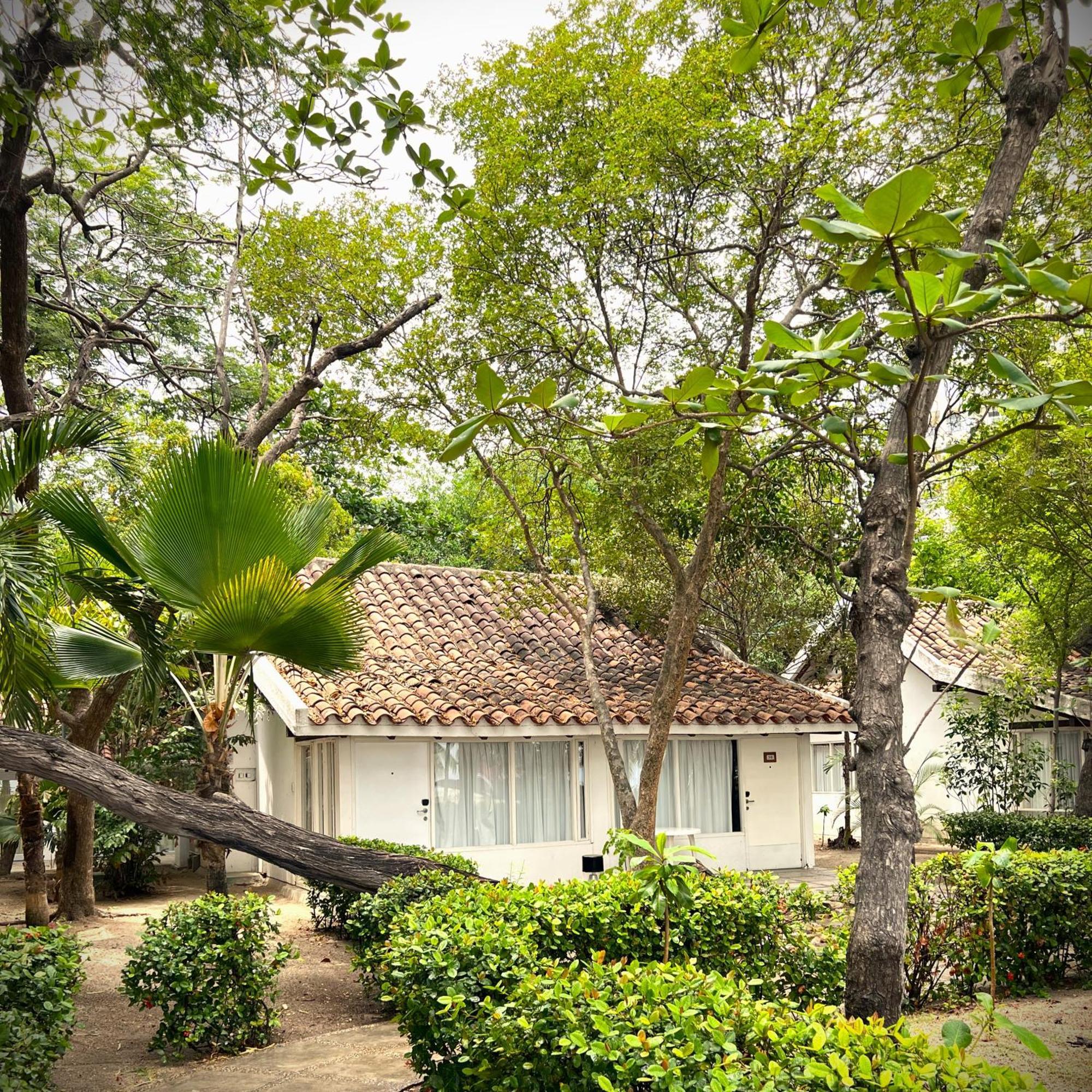 Hotel Irotama Bungalows & Bohios Santa Marta  Exterior foto